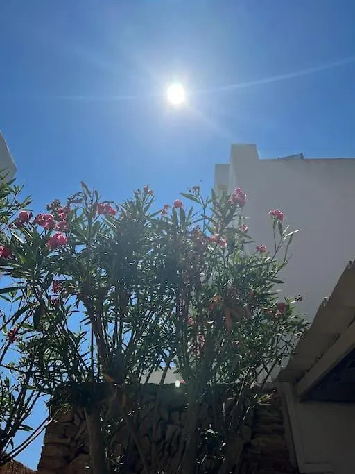 Great Penthouse With Pool And Private Roof Terrace Daire Santanyi 0*,